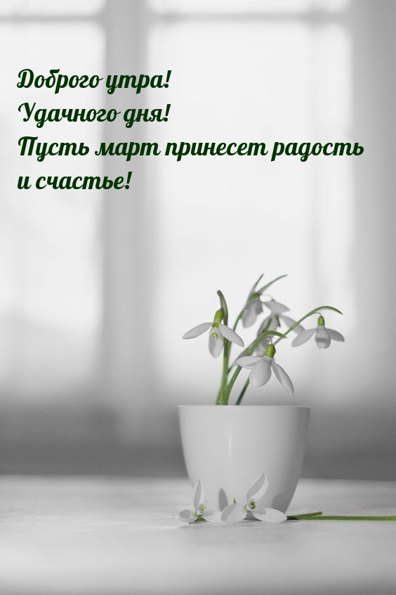 Доброго утра! Пусть март принесет радость и счастье!