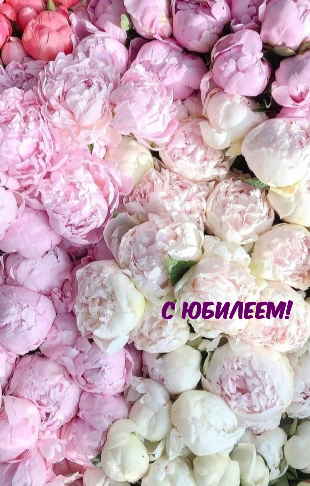 С юбилеем!