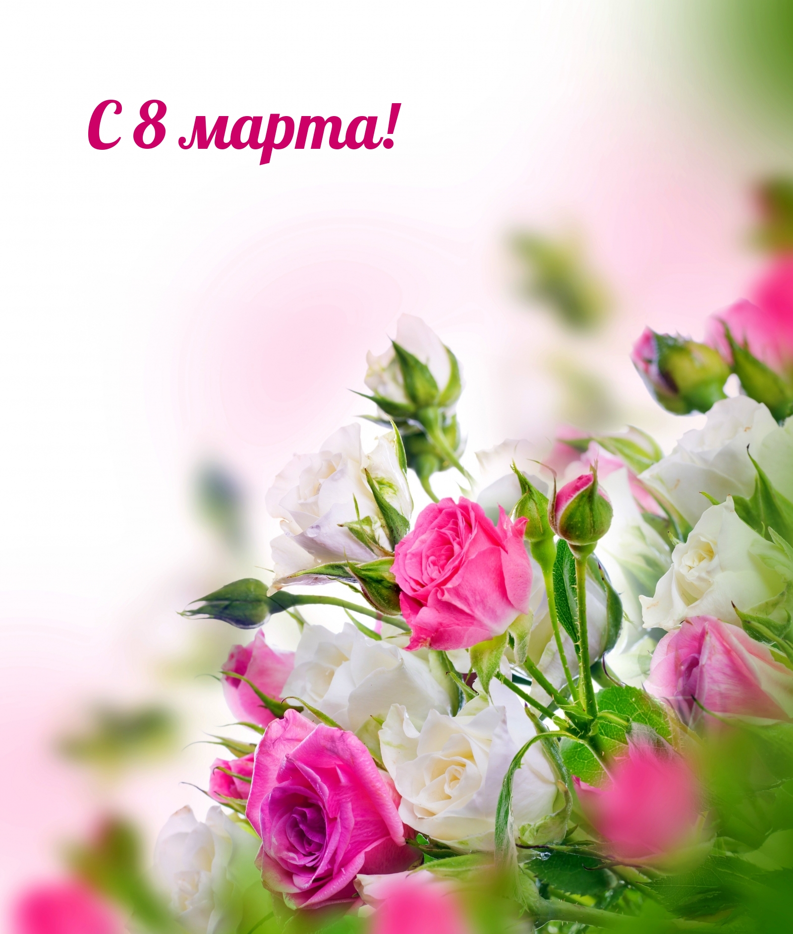 С 8 марта!