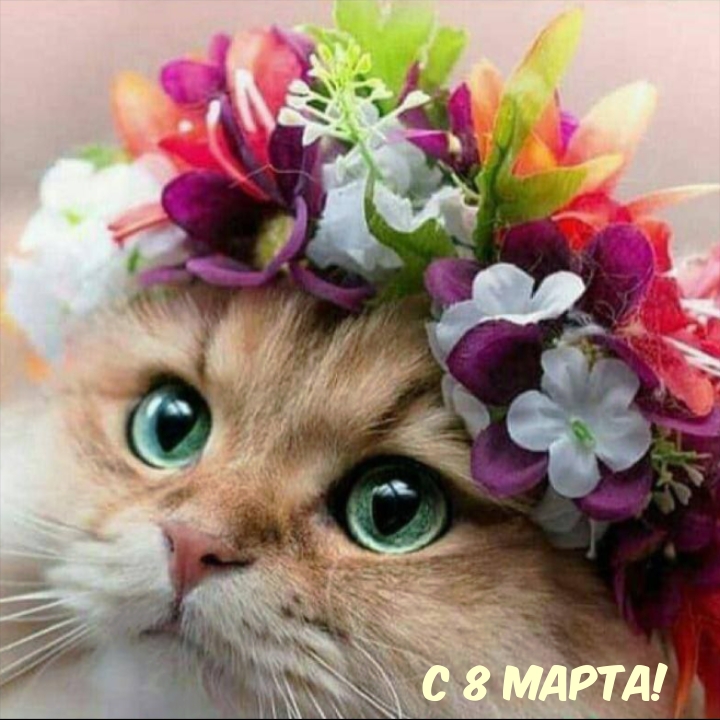 С 8 Марта!