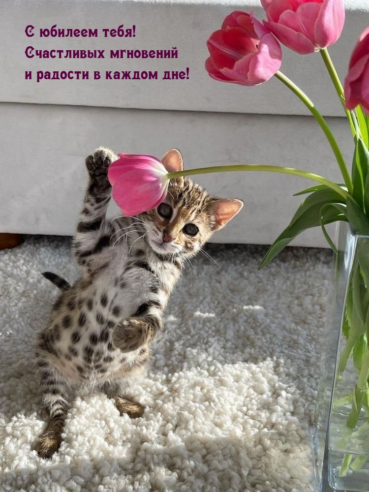 С юбилеем тебя! Счастливых мгновений и радости в каждом дне!