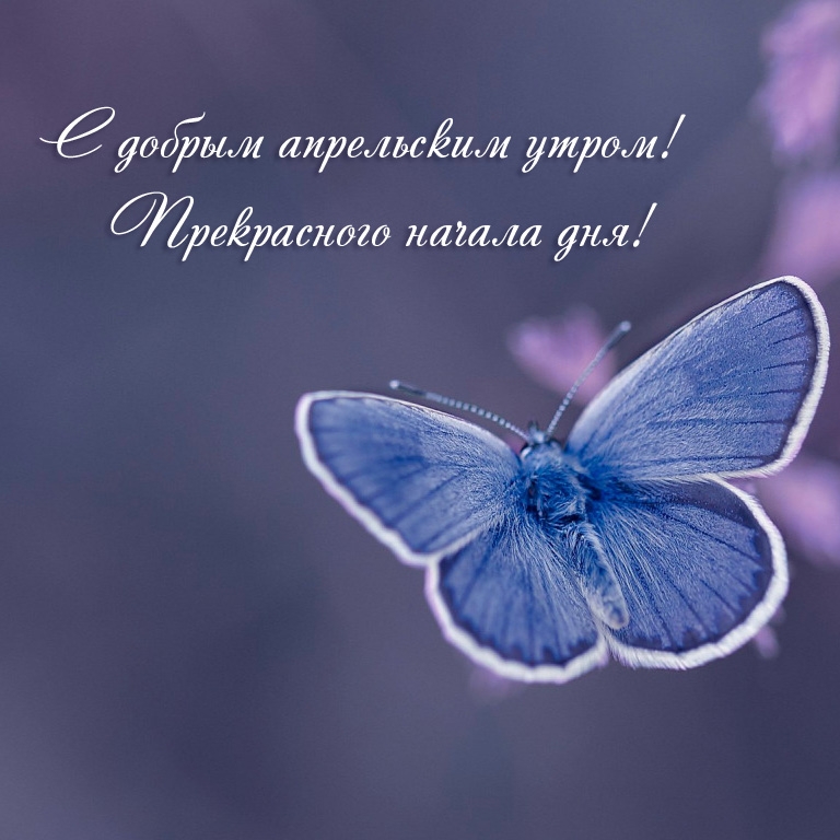 С добрым апрельским утром! Прекрасного начала дня!