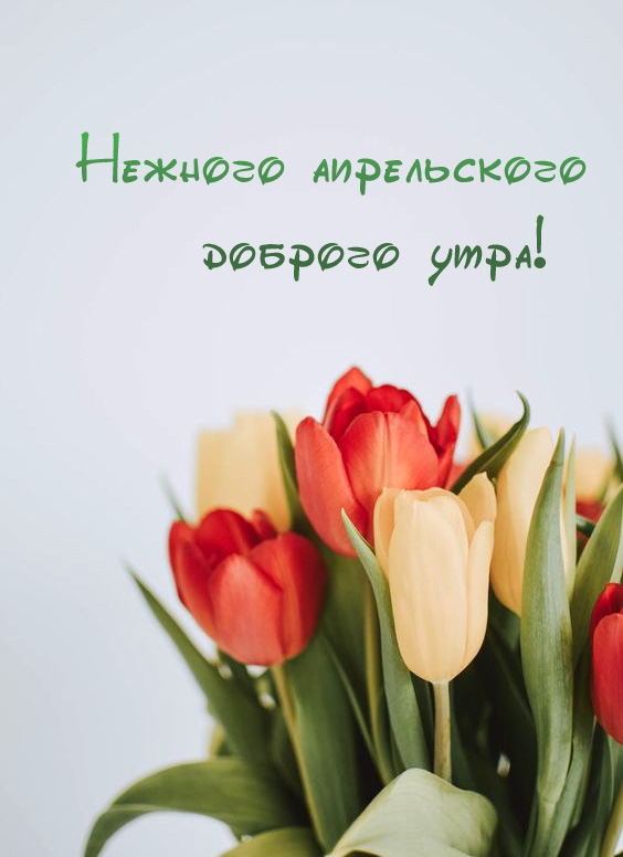Нежного апрельского доброго утра!