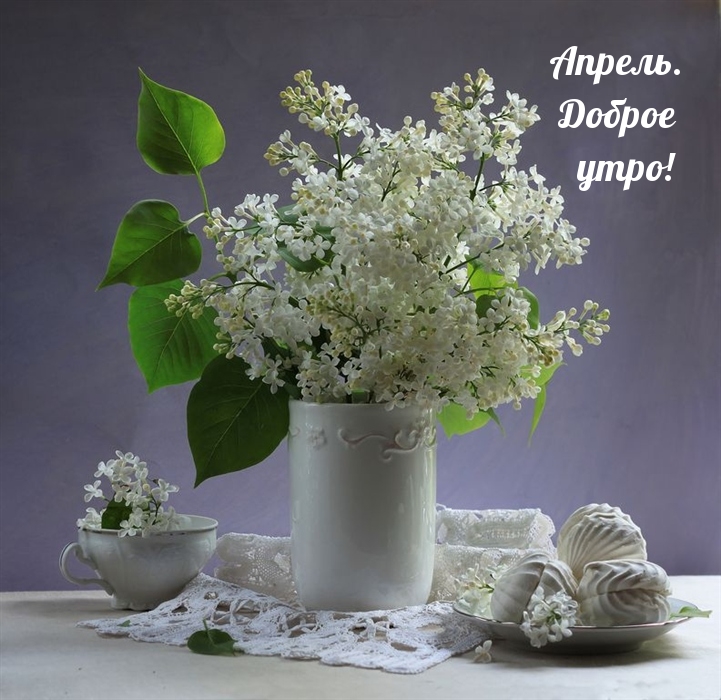 Апрель. Доброе утро!