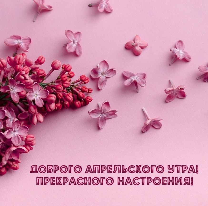 Доброго апрельского утра! прекрасного настроения!