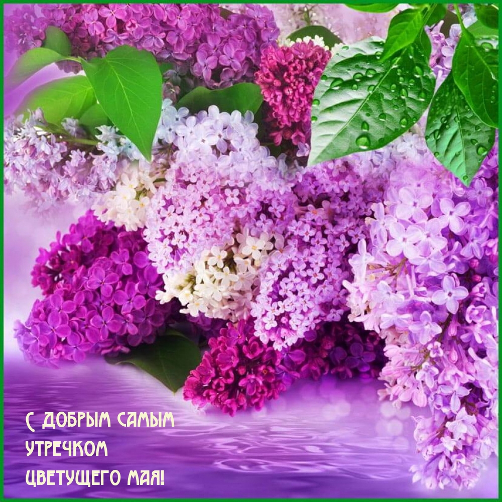 С добрым самым утречком цветущего мая!