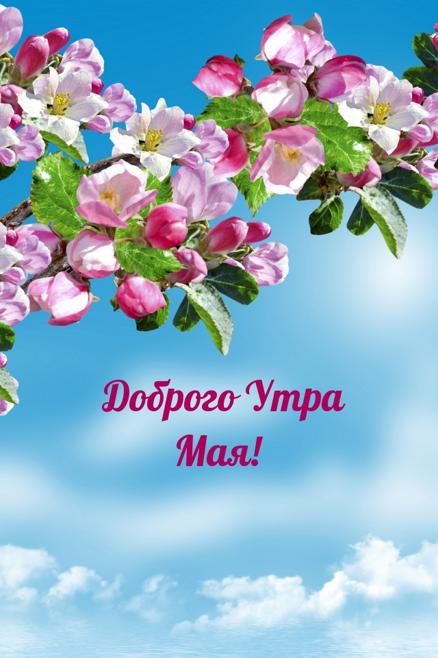 Доброго Утра Мая!