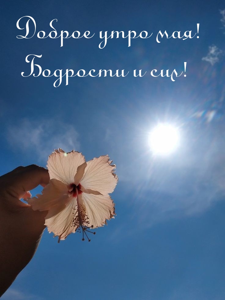 Доброе утро мая! Бодрости и сил!