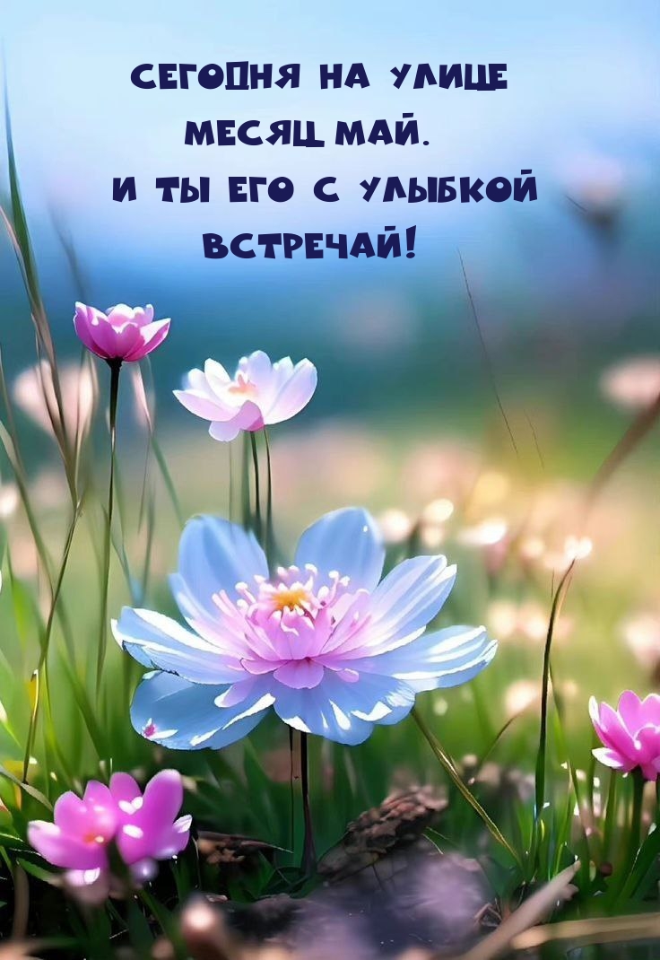 Сегодня на улице Месяц май. И ты его с улыбкой встречай!