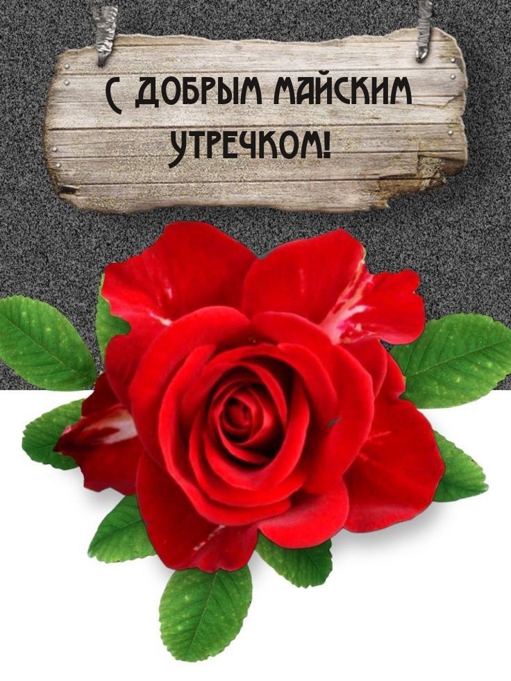 С добрым майским Утречком!