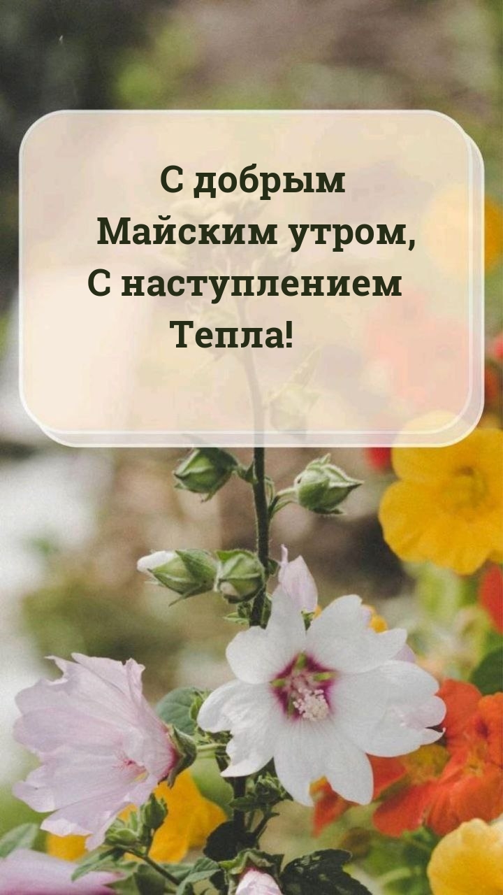 С добрым Майским утром, с наступлением Тепла!