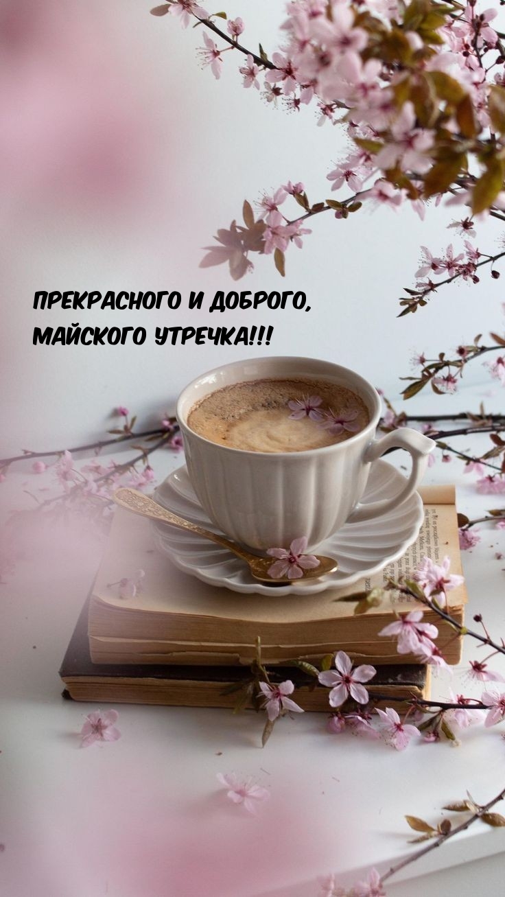 Прекрасного и доброго, Майского утречка!