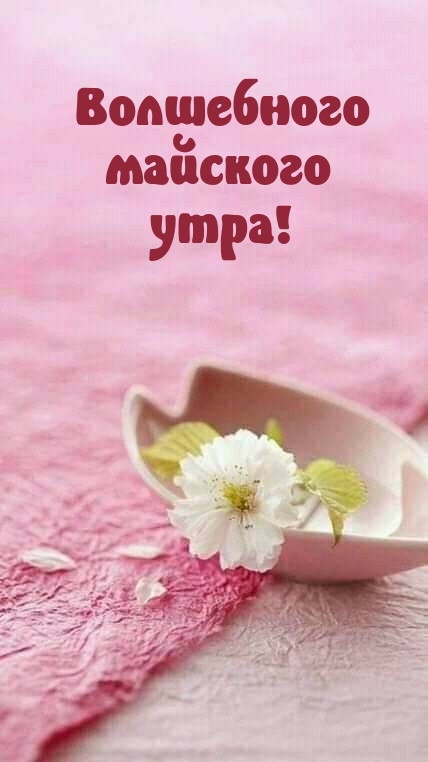 Волшебного майского утра!