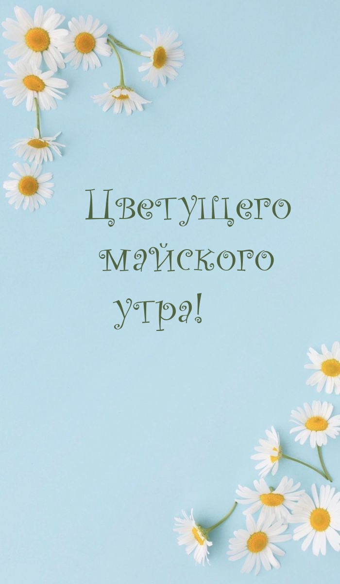 Цветущего майского утра!