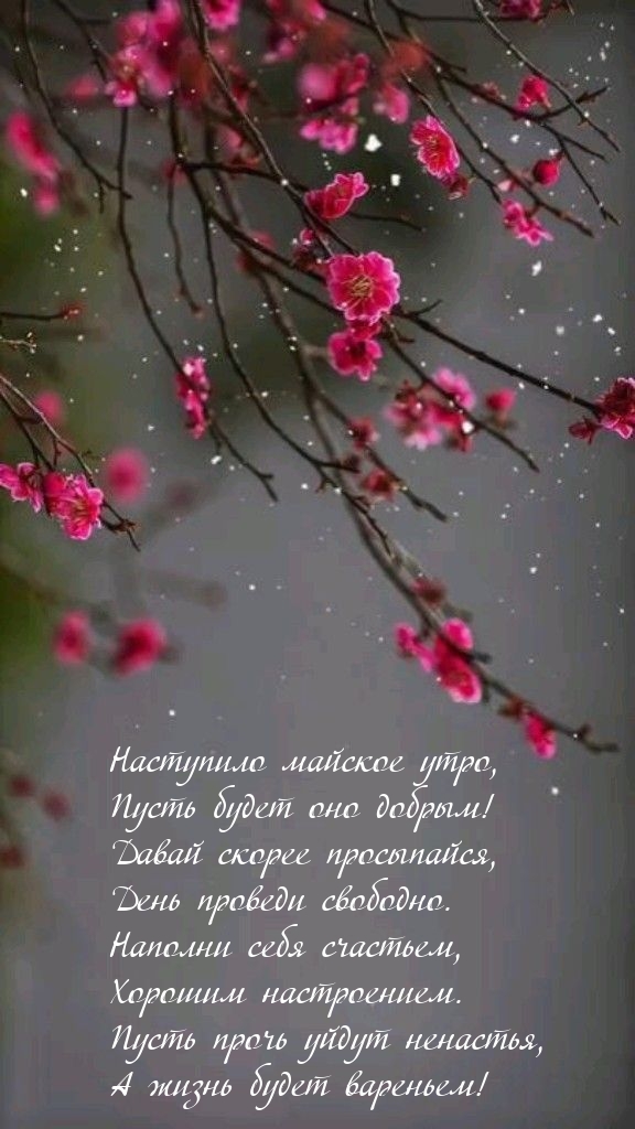 Наступило майское утро, пусть будет оно добрым!