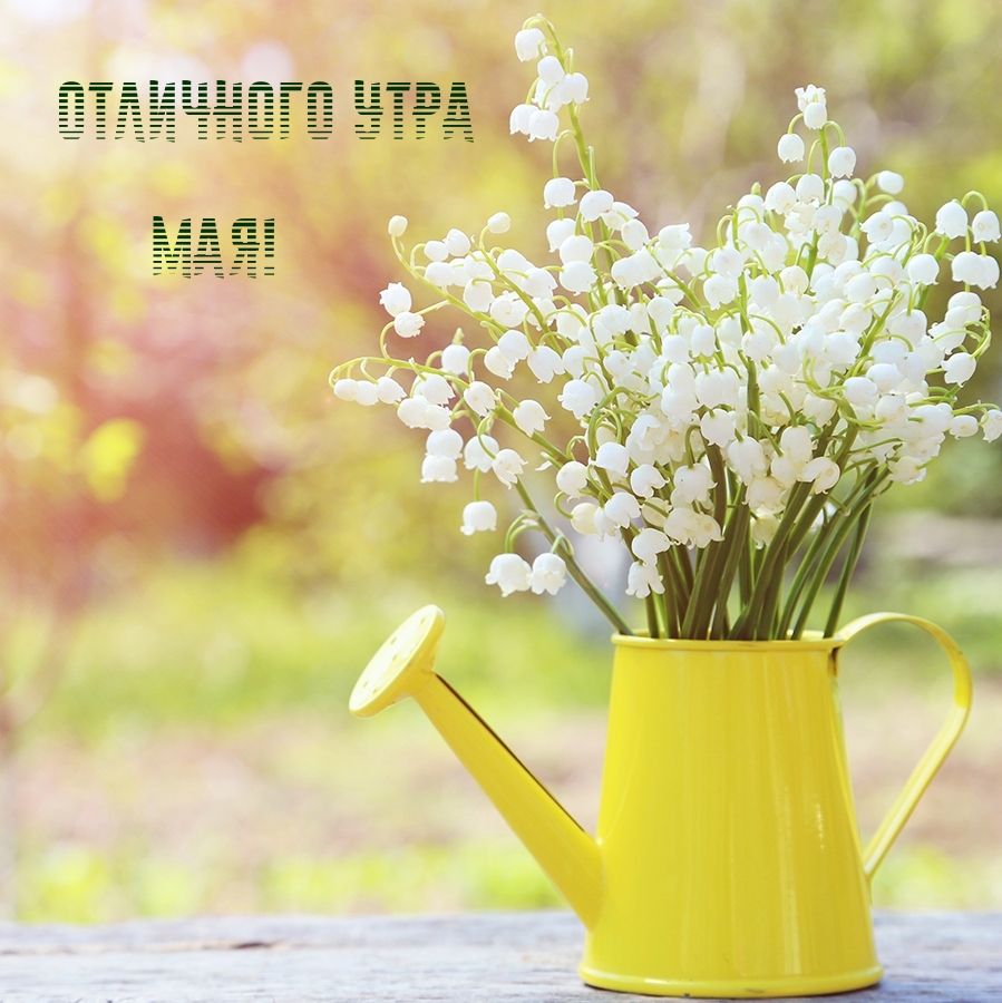 Отличного утра мая!