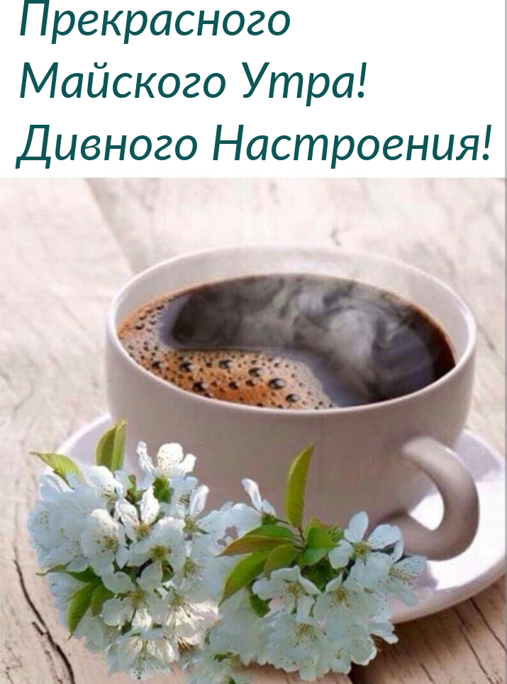 Прекрасного Майского Утра! Дивного Настроения!