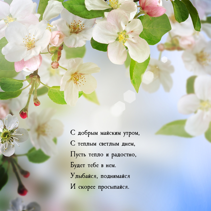 С добрым майским утром, с теплым светлым днем