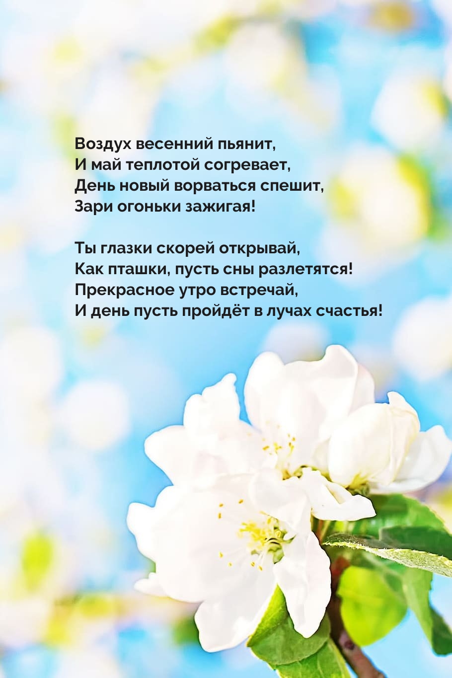 Воздух весенний пьянит, и май теплотой согревает