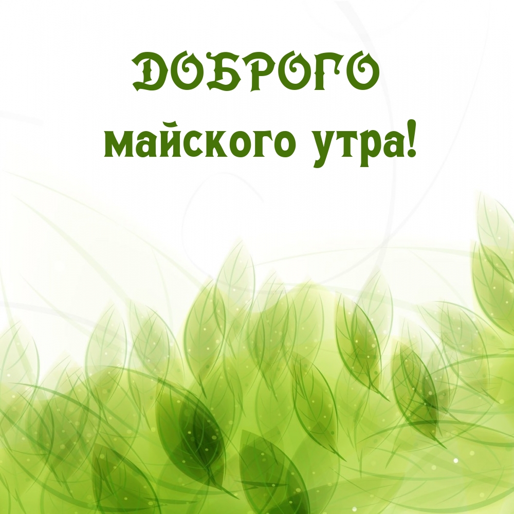 Доброго майского утра!