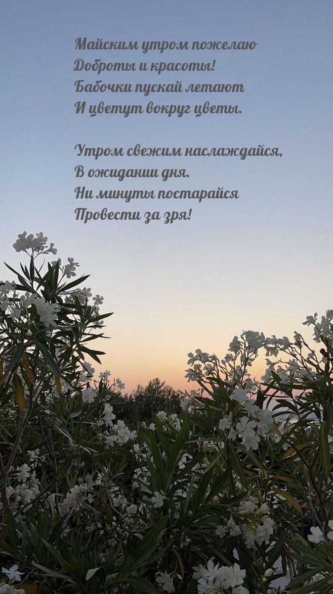 Майским утром пожелаю доброты и красоты!