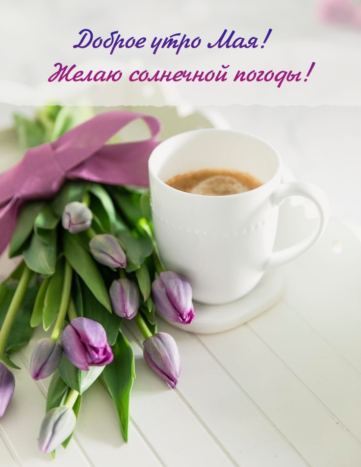 Доброе утро Мая! Желаю солнечной погоды!