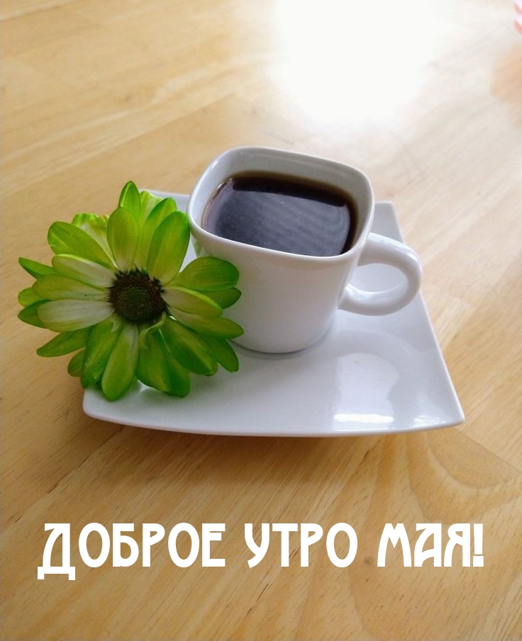 Доброе утро мая!
