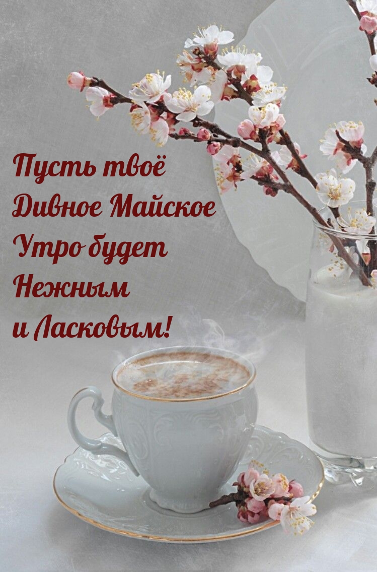 Пусть твоё Дивное Майское Утро будет Нежным и Ласковым!