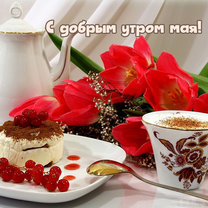 С добрым утром мая!
