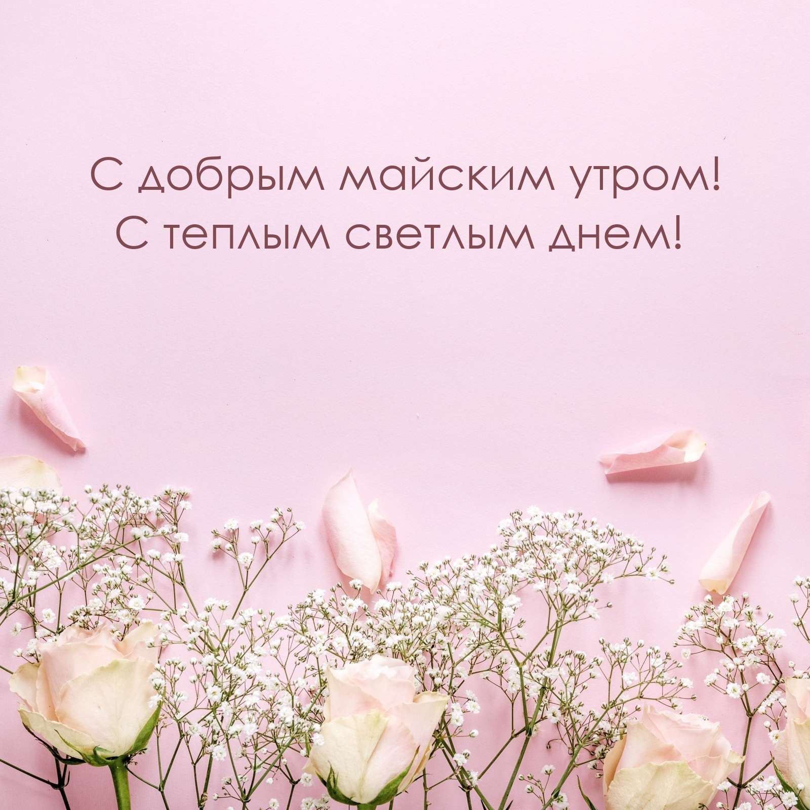С добрым майским утром! С теплым светлым днем!