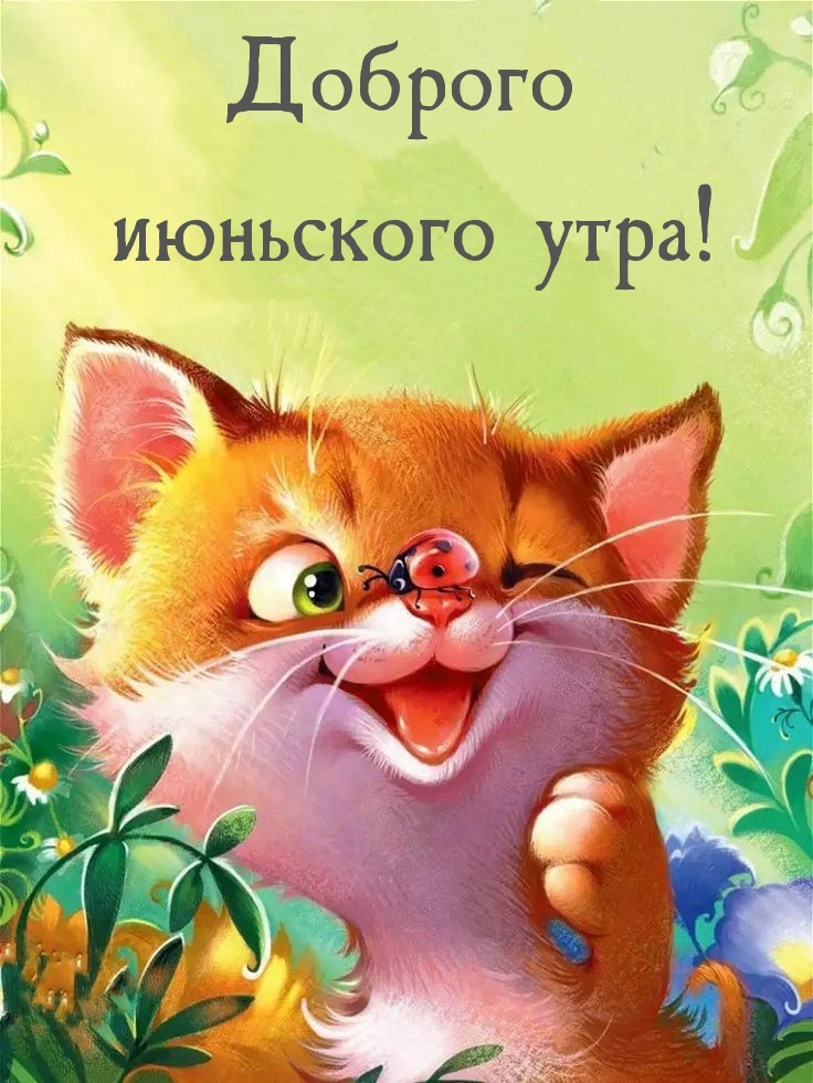 Доброго июньского утра!