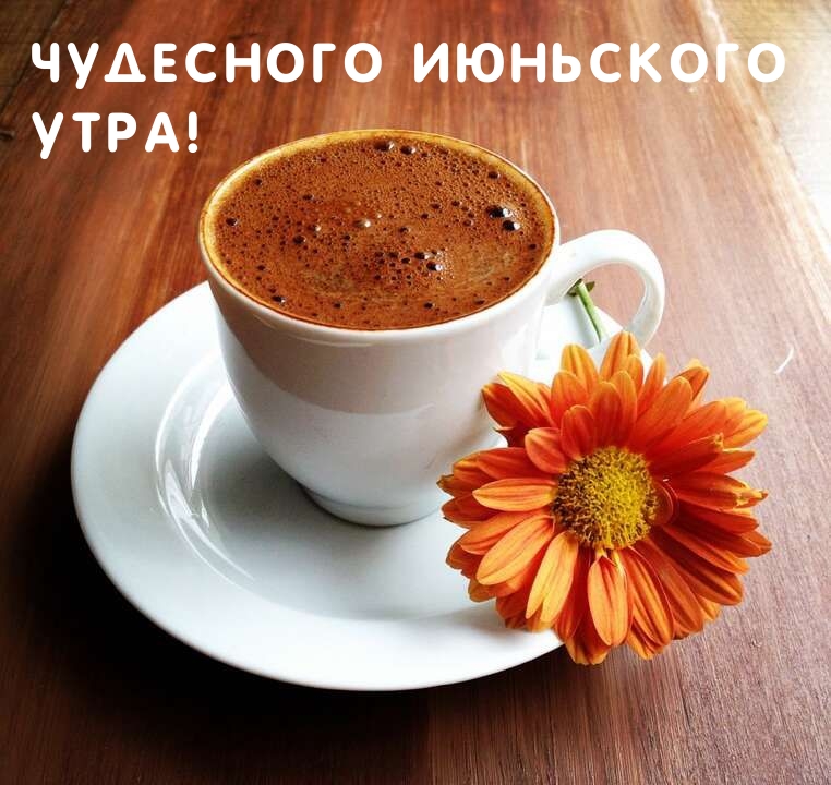 Чудесного июньского Утра!