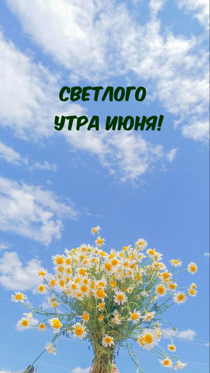 Светлого утра июня!