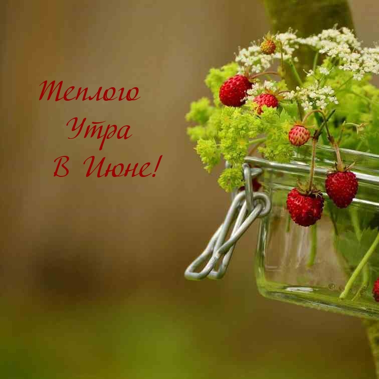 Теплого Утра В Июне!
