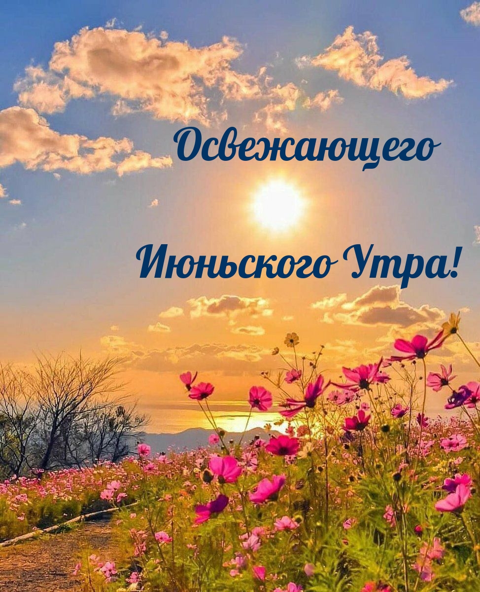 Освежающего Июньского Утра!