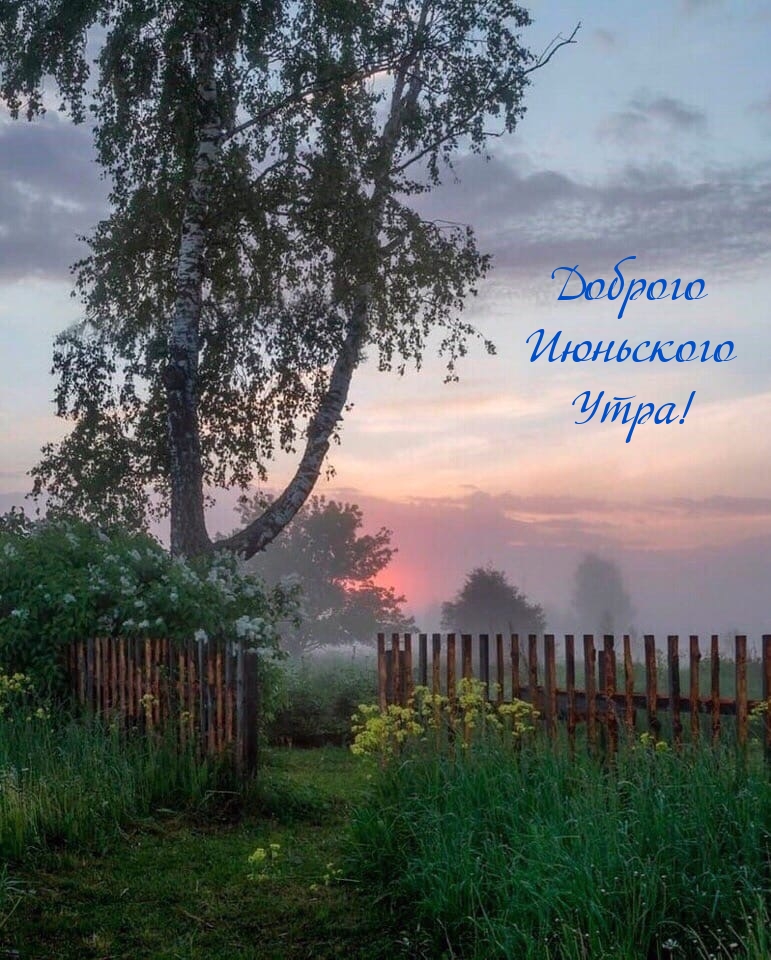 Доброго Июньского Утра!