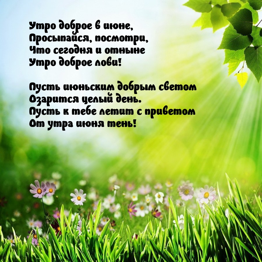 Утро доброе в июне, просыпайся, посмотри