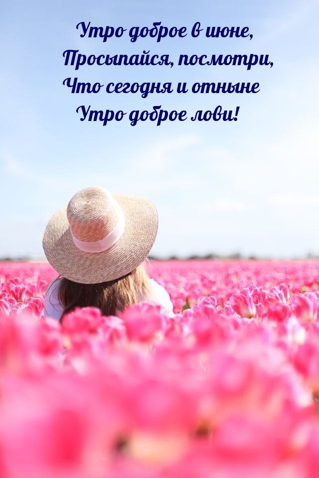 Утро доброе в июне, просыпайся, посмотри