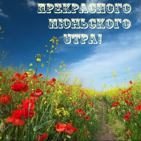 Прекрасного июньского утра!