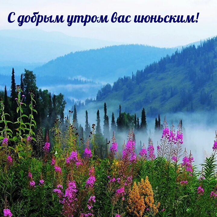 С добрым утром вас июньским!
