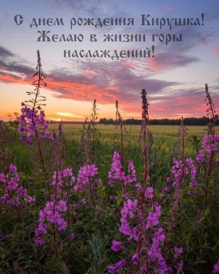 С днем рождения Кирушка! Желаю в жизни горы наслаждений!