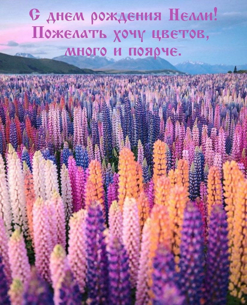 С днем рождения Нелли! Пожелать хочу цветов, много и поярче.