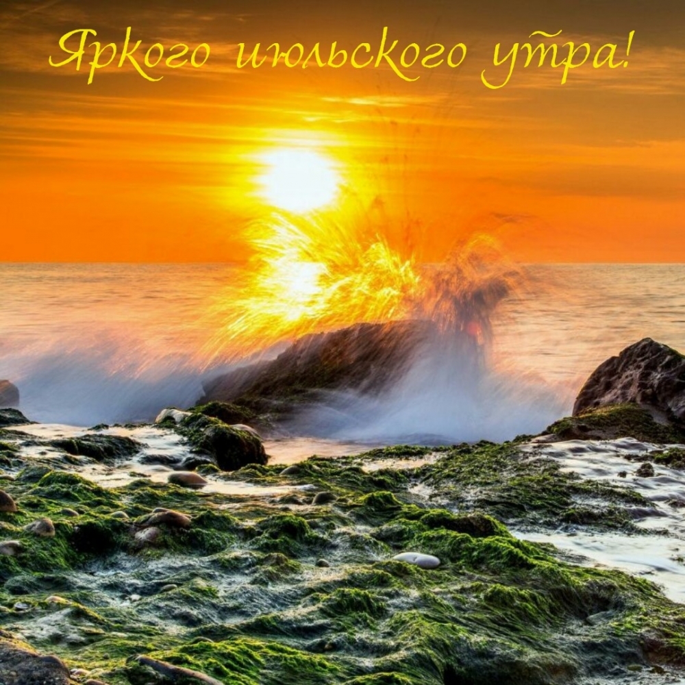 Яркого июльского утра!