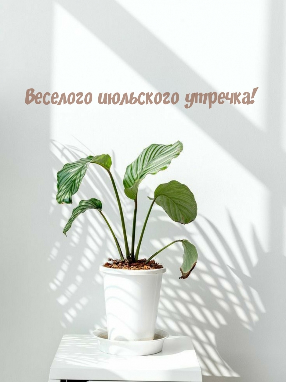 Веселого июльского утречка!