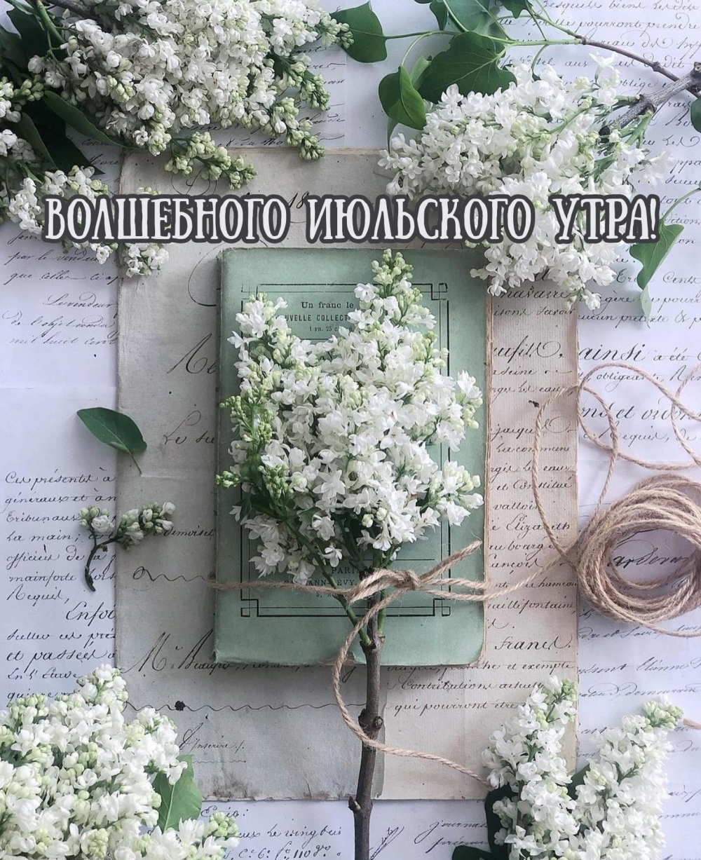 Волшебного июльского утра!