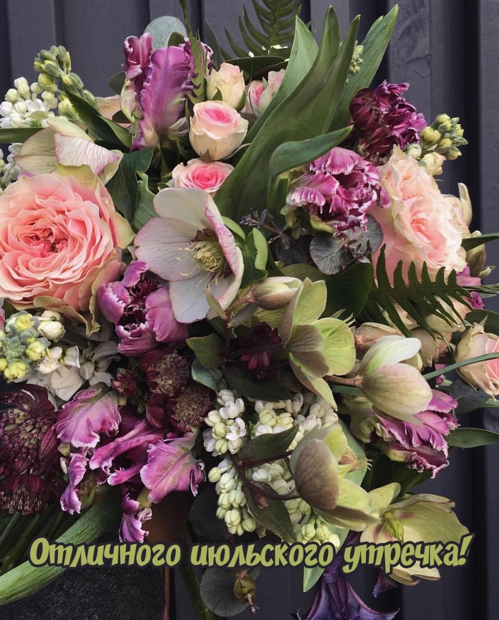 Отличного июльского утречка!
