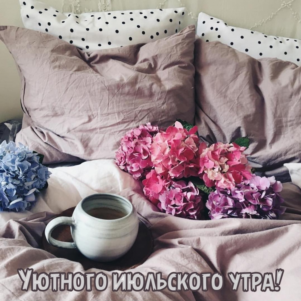 Уютного июльского утра!