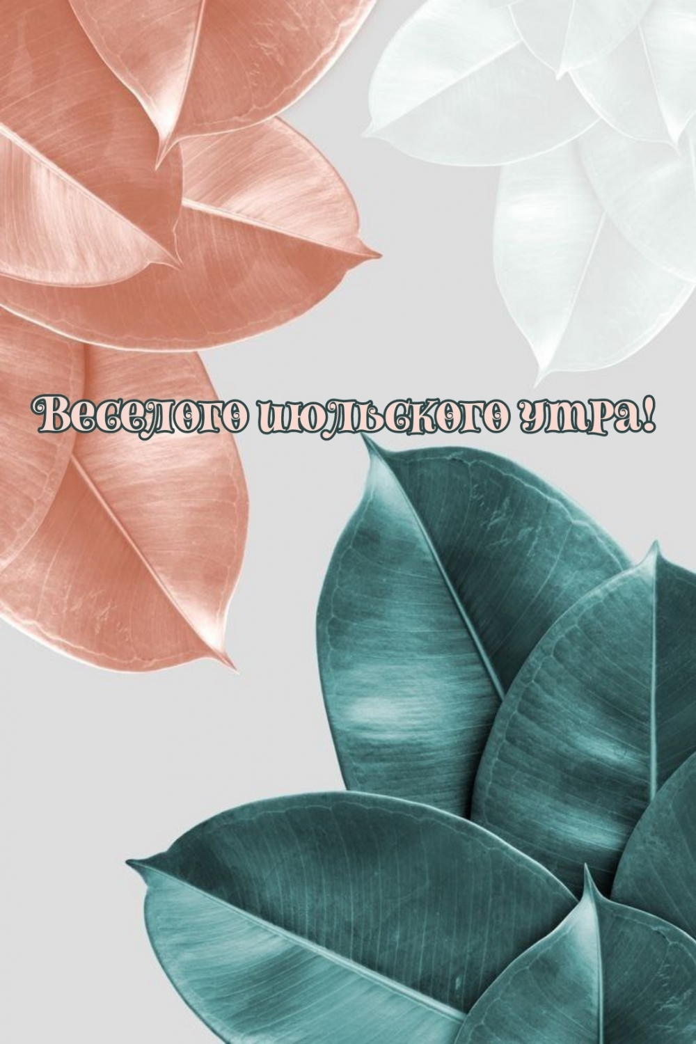 Веселого июльского утра!