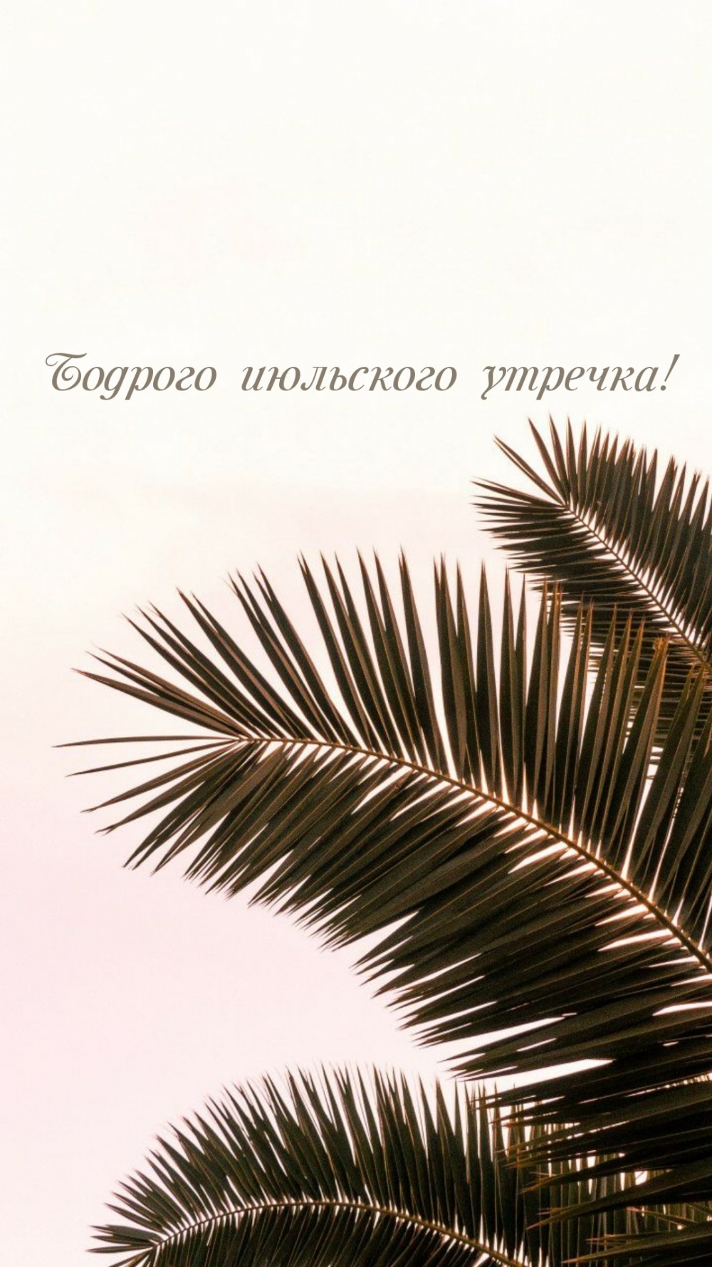 Картинки с надписями.  Бодрого июльского утречка!.
