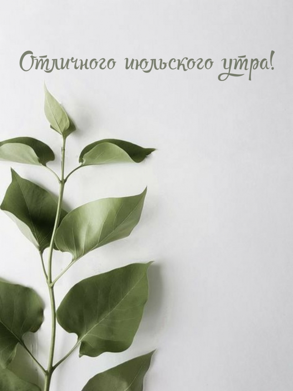Отличного июльского утра!